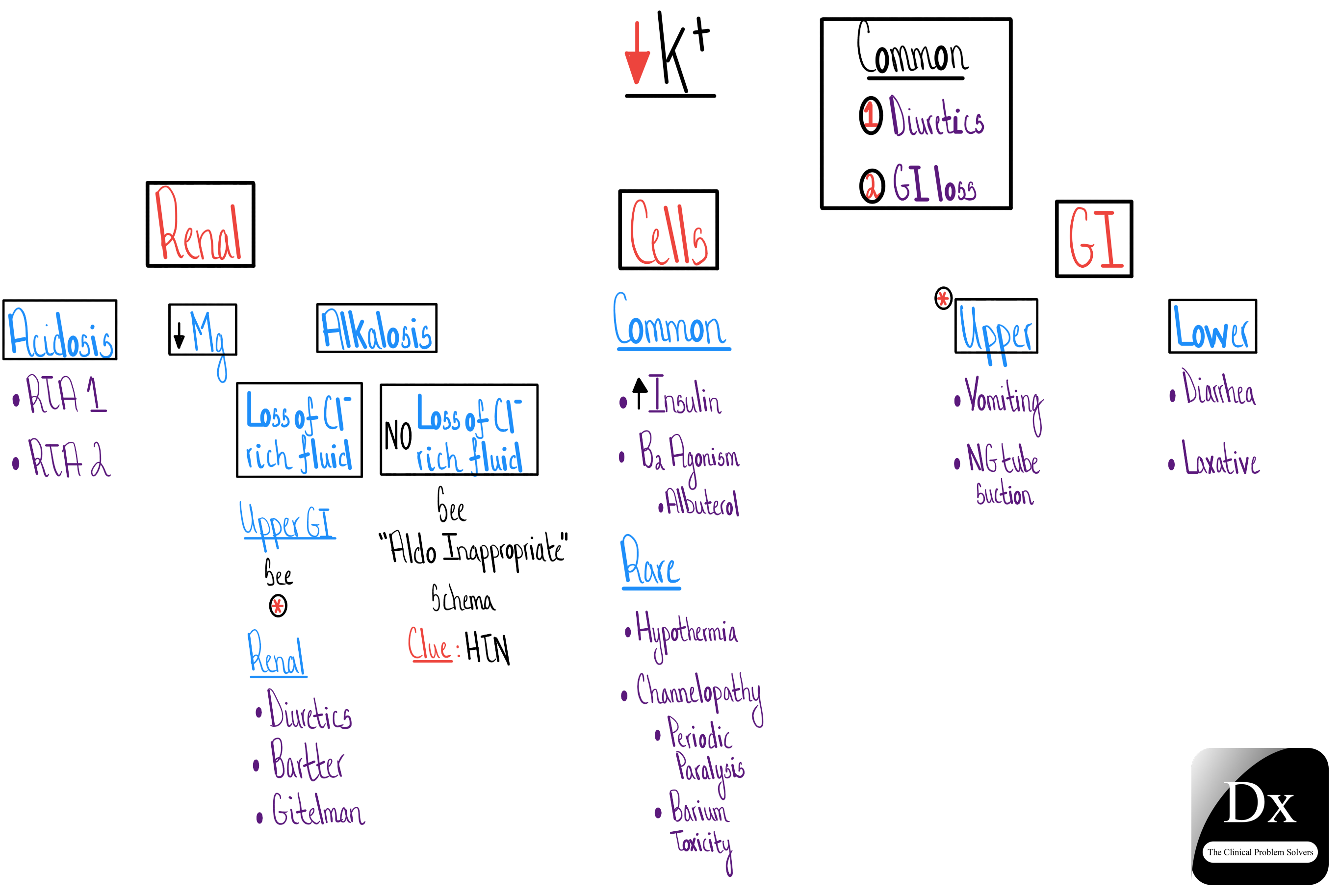 Hypokalemia Mechanism V2 The Clinical Problem Solvers