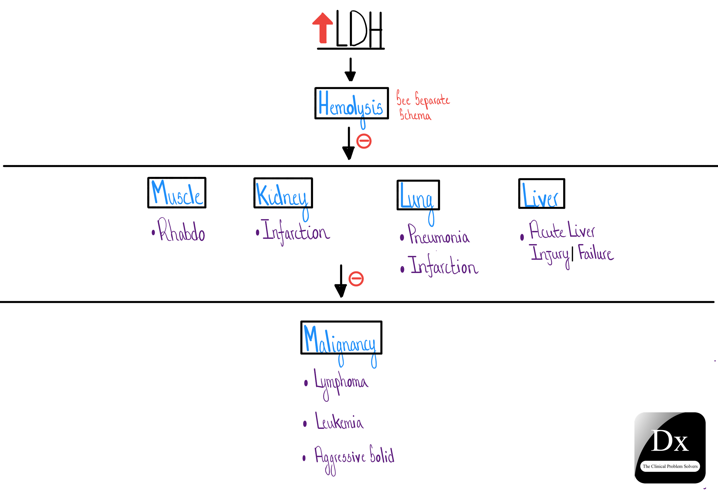Dx Schema - Lactate Dehydrogenase - LDH - The Clinical Problem Solvers
